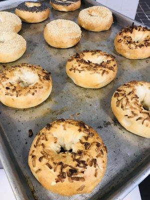 Fresh Bagels