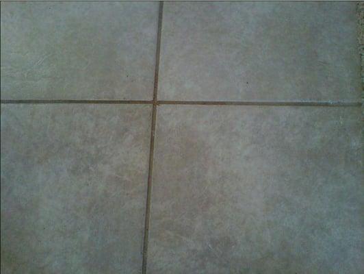 Tile and Grout Before Cleannig