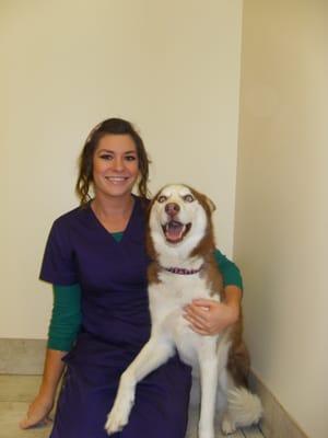 Kesley. Vet Tech at White Oaks West Animal Hospital in Springfield Illinois