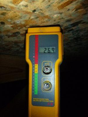 Attic Inspection-Fungal growth (New Construction Home Inspection, Redmond WA)