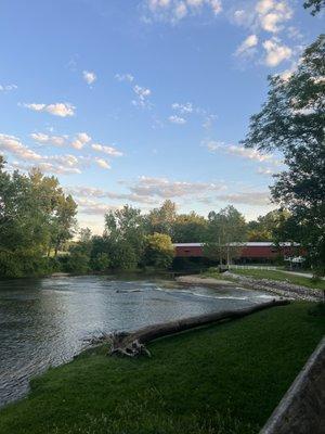 View from the river next door