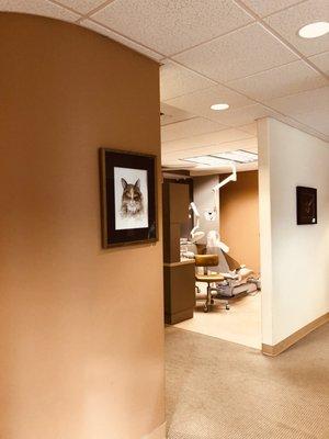 3 Treatment Rooms - Our Brand new chair for Implants, crowns and root canal