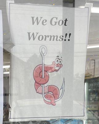 They got worms!!