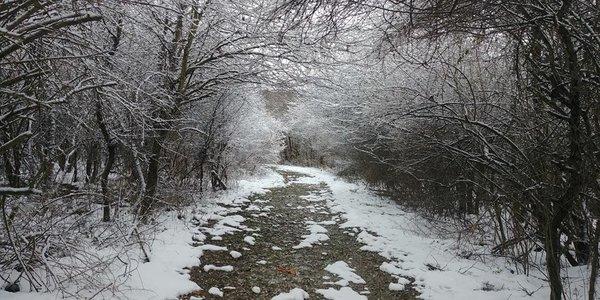 The trails are scenic, with a variety of difficulty levels, covering field, forest, and pond habitats.