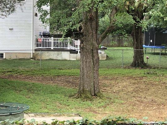 Neighbor's torn up back yard from AAAs equipment. Front yard also torn up. This was grass prior to AAAs service.