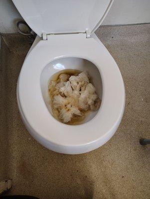 Toilets not working.