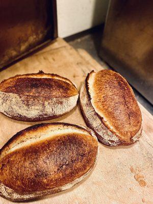 Country Sourdough - Also known as 'Campagne' or 'Country Bread' it is a loaf comprised of local grains.