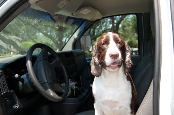 Our crew chief is always barking orders.