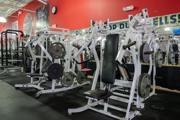 Busy Body Fitness Center West - Hammer Strength Plate Load