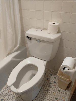 toilet, with wonderfully soft, strong TP