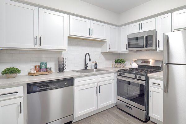 Modern kitchen with white cabinetry