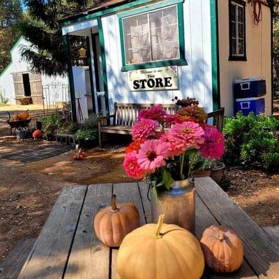 Welcome to our tiny store where you will find the best cheese in El Dorado County!