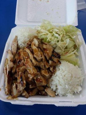 Teriyaki Chicken Breast. Big Serving!!