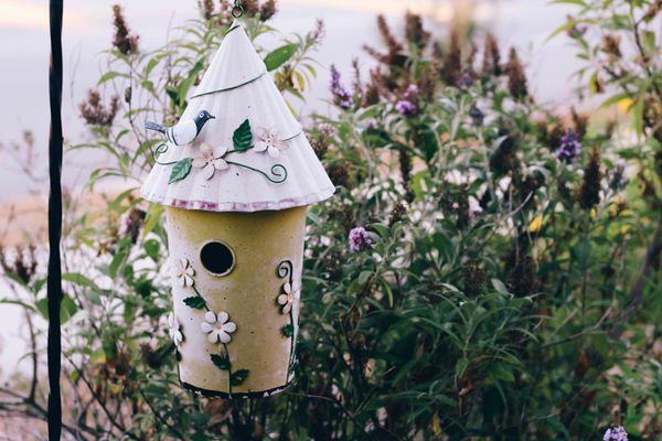 A birdhouse in the front yard.