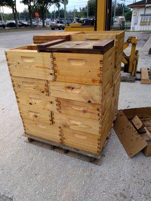 Waxed dipped bee boxes for sale