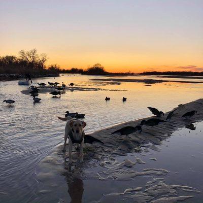 We have fabulous sunsets over the Platte River!