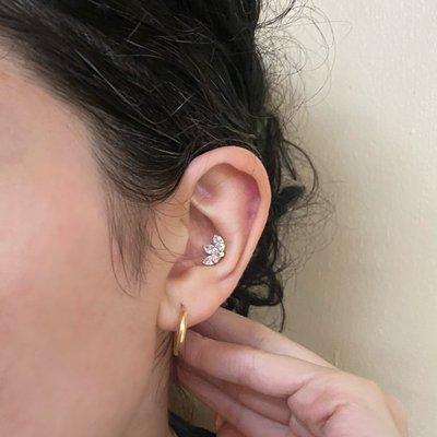 Conch Piercing