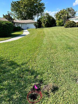 Marked/Flagged Boundary Lines and Fence lines.