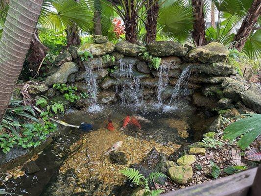 The Solaire At Las Palmas Village exterior with a garden and a little lake with fishes