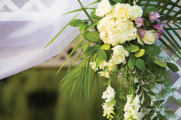 Flower Depot decorated our canopy that we were married under. Beautiful.