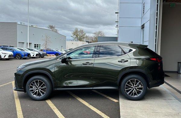 2023 Lexus NX350h in Nori Green Pearl