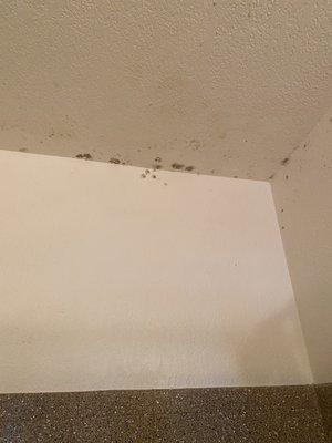 This is our disgusting tub ceiling which is clearly mold but they say it's not