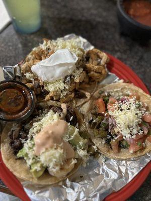 Surf and Turf Taco, Nopalitos Taco, and Mushroom-Pollo Taco