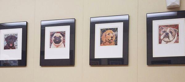 Dog pics on the wall of the vet waiting room!