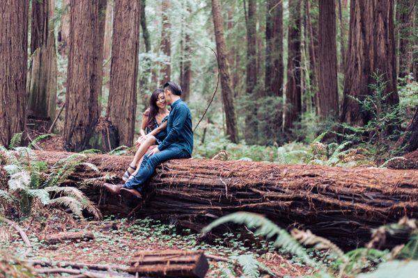 One of our engagement shots at Muir Woods (we loved the nature shots!)