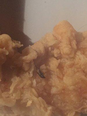 A bug dead and/or cooked on my chicken disgusted