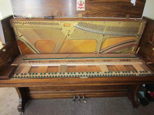 Cleaning the inside of an upright piano.