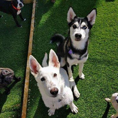 Lukas with a friend during daycare