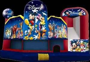 Disney 5 in 1 combo. This unit has a basketball hoop, pop up obstacle, jump through obstacle, climb and a slide.