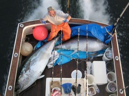 Tuna fishing in Gloucester MA - 800 lb Bluefin