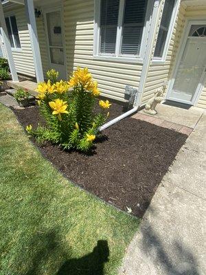 Mulch weeding, and small bush removal done