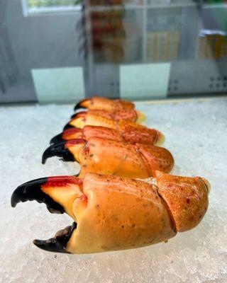 We are your Stone Crab Plug!