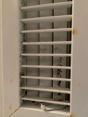 mold on vent register