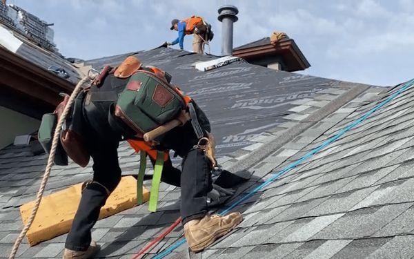 Shingle roof repair