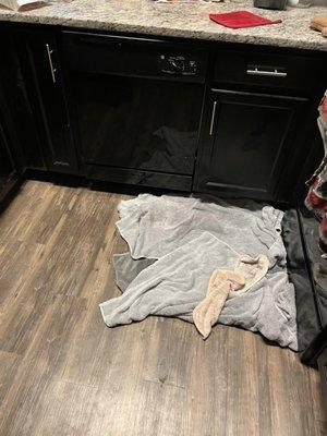 Kitchen floor #4. They demanded it was melted snow and promised to follow up. Never heard from them again until it happened a 5th time.