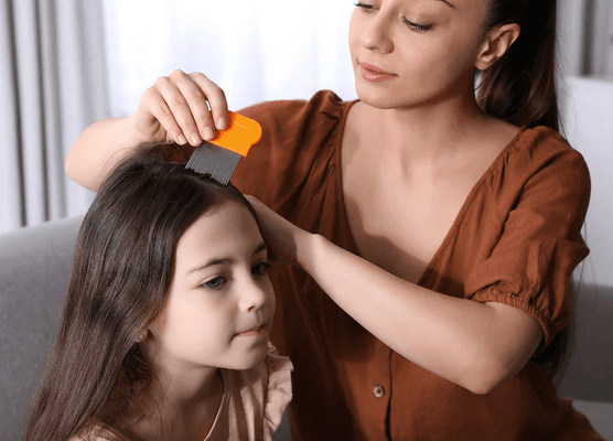 Lice Removal Services