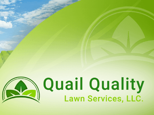 Quail Quality