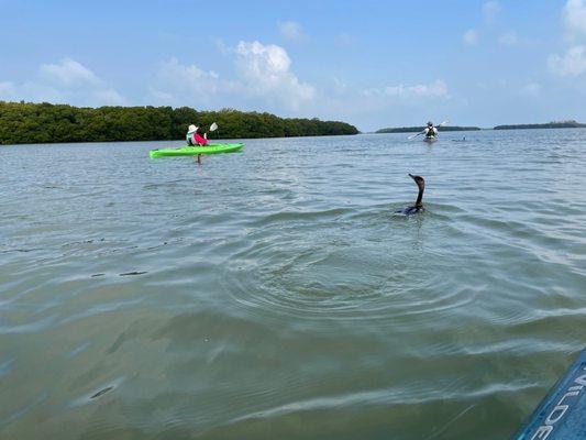 On the way to Shell Island.