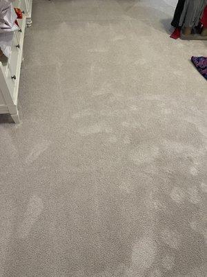 The carpets are so fresh, like new!