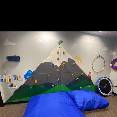 The pediatric rehabilitation gym