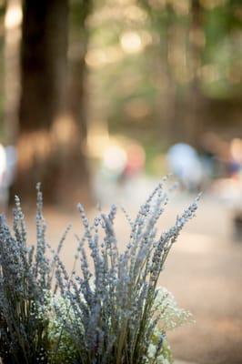 Chenoweth Woods | Dawn Heumann Photography