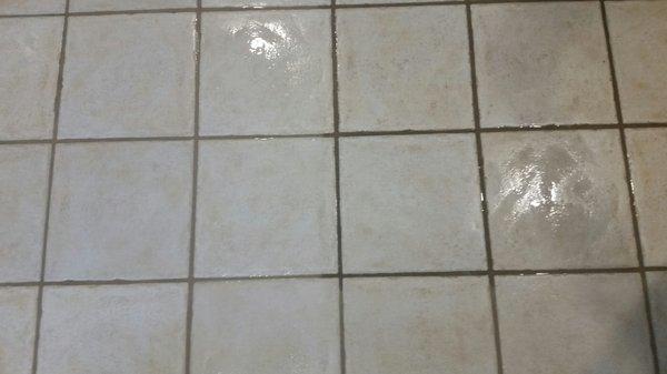 Tile & Grout Cleaning