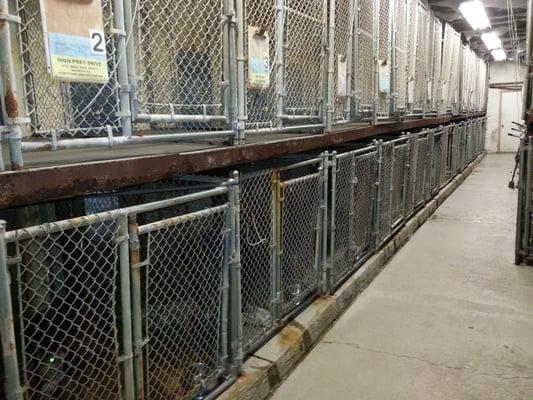 You can see the rusted metal in this photo... DO NOT PLACE YOUR PETS HERE.