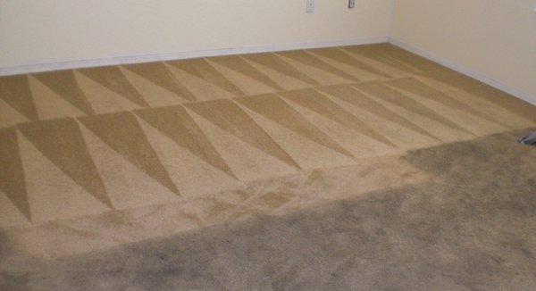 Xcel Carpet Cleaning