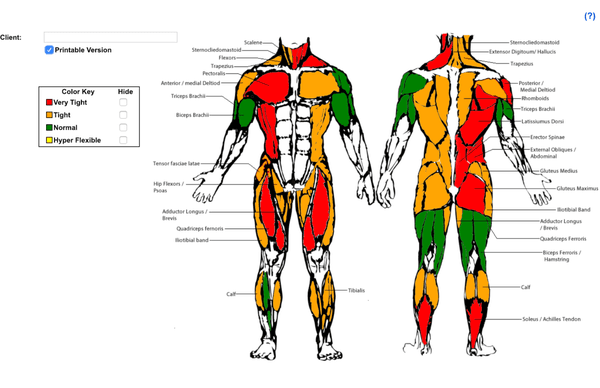 OUR RANGE OF MOTION ASSESSMENT- GET A TARGETED PROGRAM TAILORED TO YOU AND YOUR MUSCLE IMBALANCES