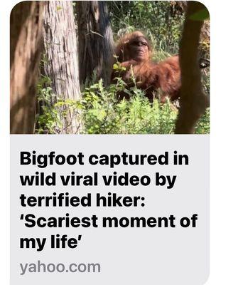 In the Jungle near OK, it is bigfoot.